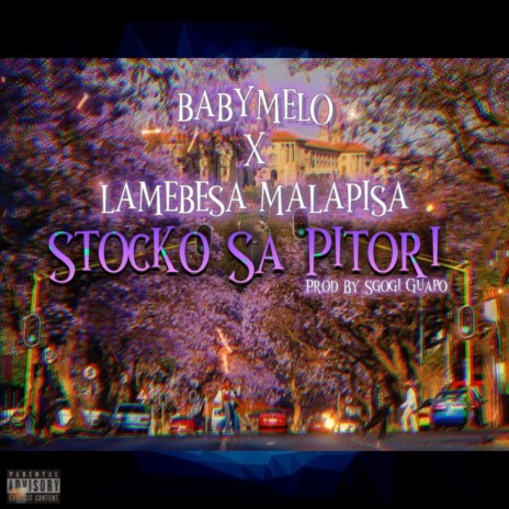 Stocko Sa Pitori ft. Lambesa Malapisa | Boomplay Music