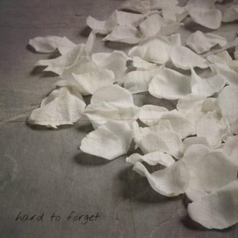 Hard To Forget | Boomplay Music