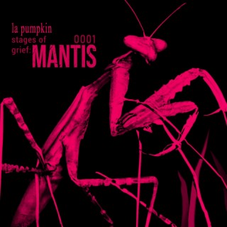 stages of grief: MANTIS
