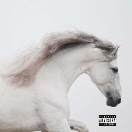 Da White Horse | Boomplay Music