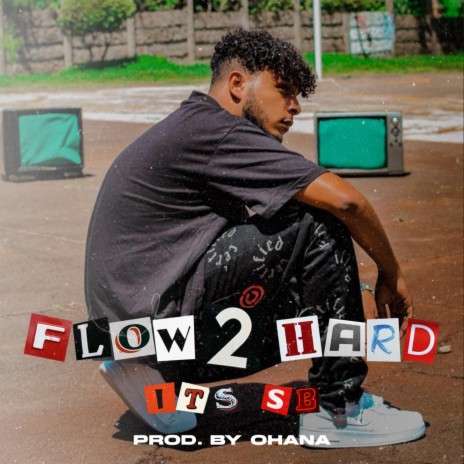 FLOW 2 HARD | Boomplay Music
