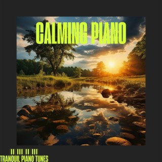 Calming Piano: a Journey into Tranquility