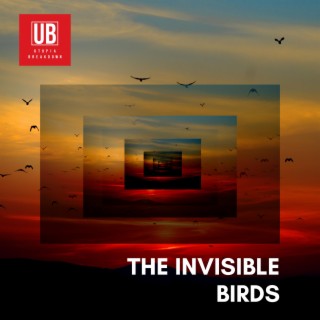 The Invisible Birds lyrics | Boomplay Music