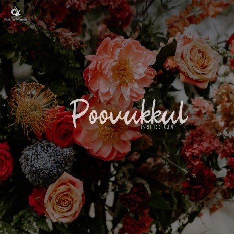 Poovukkul (Piano Version) | Boomplay Music