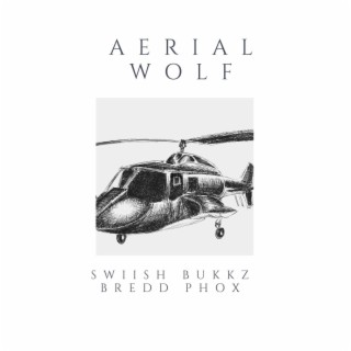 Aerial Wolf