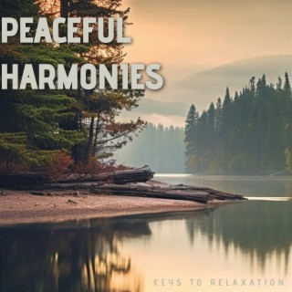 Peaceful Harmonies: Piano Tunes for Inner Calmness