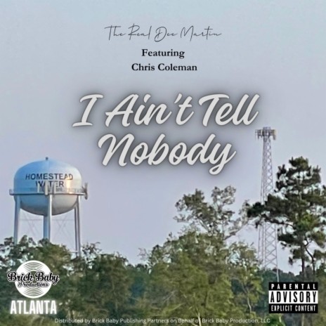 I Aint Tell Nobody ft. Chris Cole | Boomplay Music