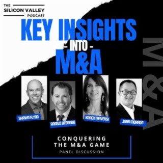 Ep 221 Key Insights into Mergers and Acquisitions