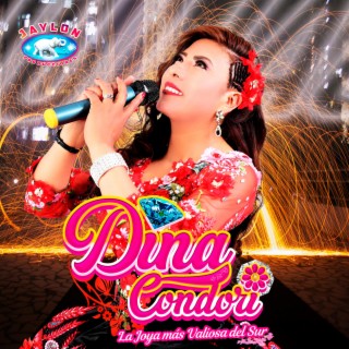 Dina Condori, Vol. 11