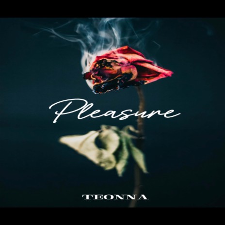 Pleasure | Boomplay Music