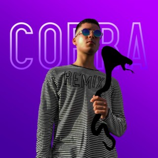 Cobra Remix (Remix) ft. Princeton lyrics | Boomplay Music