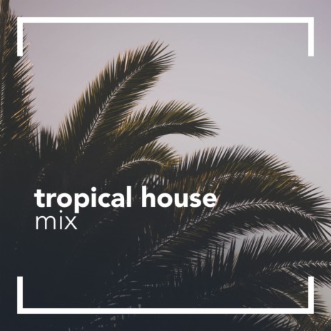 Tropicana (Original Mix)