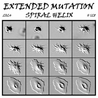 Extended Mutation