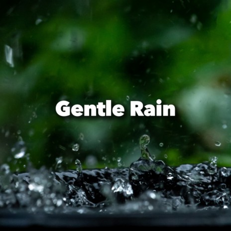 Gentle Rain Drops