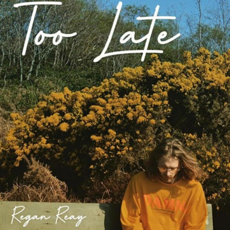 Too Late | Boomplay Music