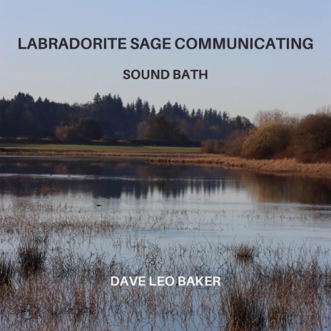 Labradorite Sage Communicating Sound Bath