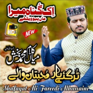 Shafaqat Ali Fareedi