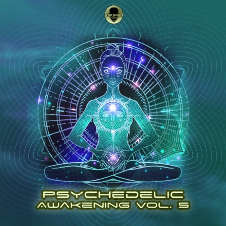Psychedelic Awakening, Vol. 5 (Dj Mix)