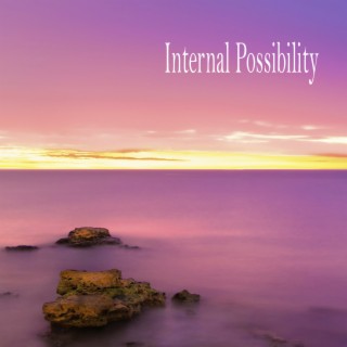 Internal Possibility