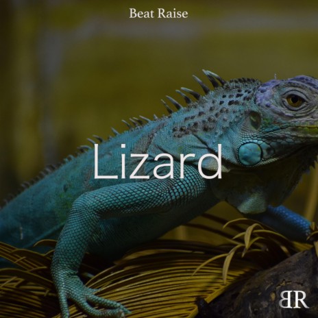 Lizard | Boomplay Music