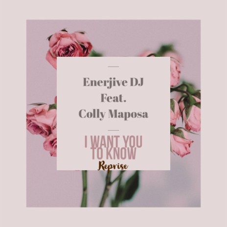 I want you to know [feat. Colly Maposa] (Reprise)