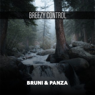 Breezy Control