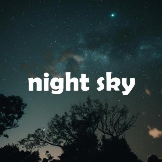 Night Sky