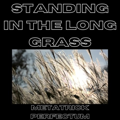 Standing in the Long Grass | Boomplay Music