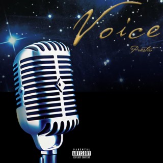 Voice lyrics | Boomplay Music