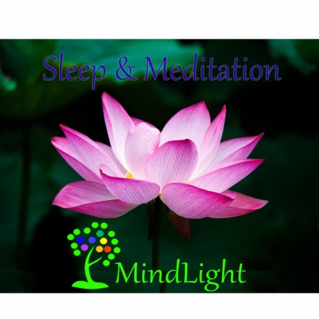 Meditation And Sleep Delta