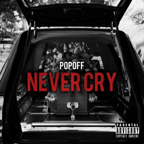 Never Cry | Boomplay Music