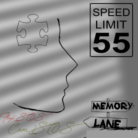 Memory Lane ft. Flex_S.o.S | Boomplay Music