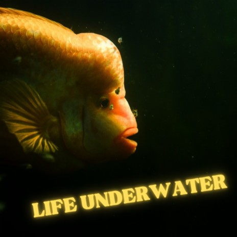 Life Underwater