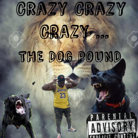 Crazy Crazy | Boomplay Music