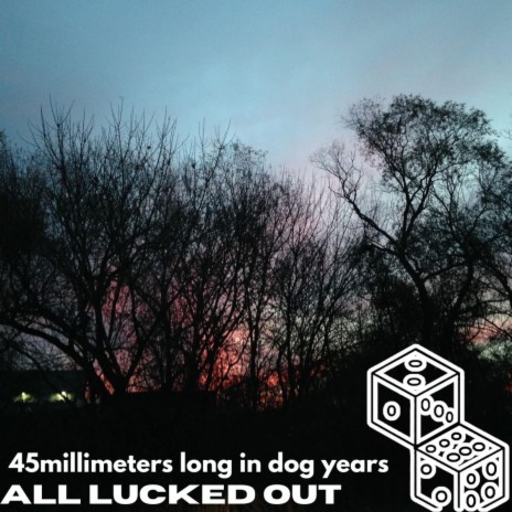 45 Millimeters Long In Dog Years | Boomplay Music