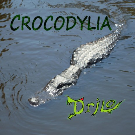 Orinoco Crocodile