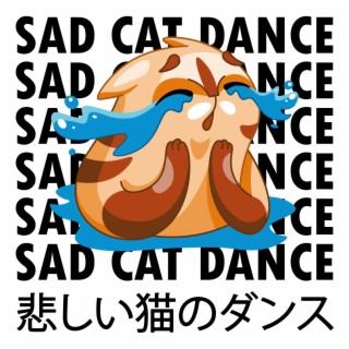 Sad Cat Dance – 悲しい猫のダンス Anime Day