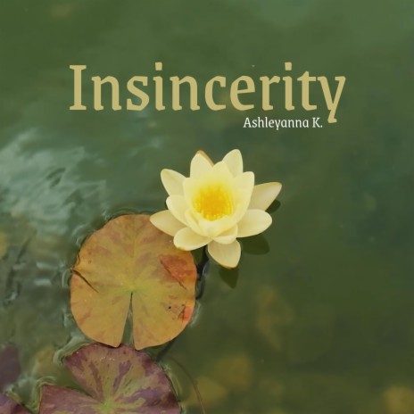Insincerity | Boomplay Music