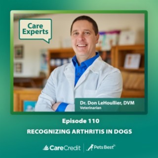 Recognizing Arthritis in Dogs - Dr. Don LeHoullier
