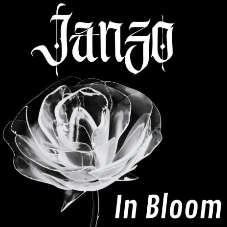 In Bloom | Boomplay Music