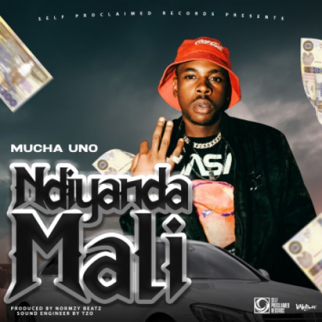 Ndiyanda Mali | Boomplay Music