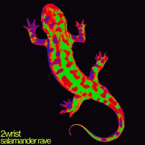 salamander rave | Boomplay Music