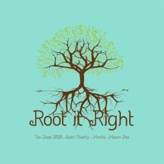 Root It Right