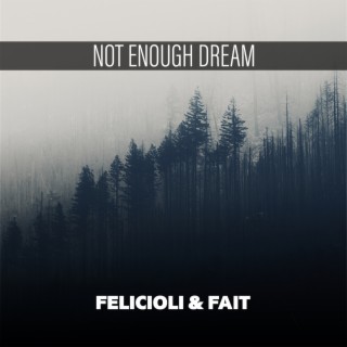 Not Enough Dream