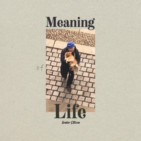 Meaning of Life (Dub Version) | Boomplay Music