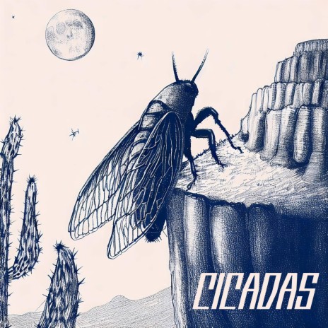 Cicadas | Boomplay Music