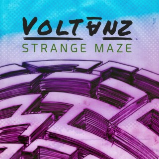 Strange Maze lyrics | Boomplay Music