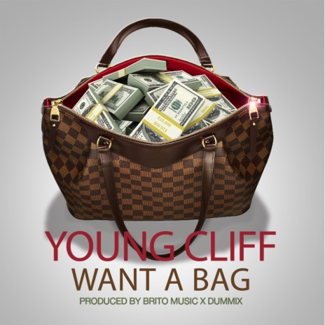 Want a Bag (feat. Young Cliff) | Boomplay Music