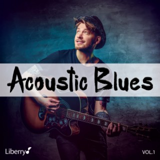 Acoustic Blues, Vol. 1