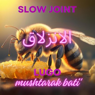 Slow joint mushtarak bati' مشترك بطيء